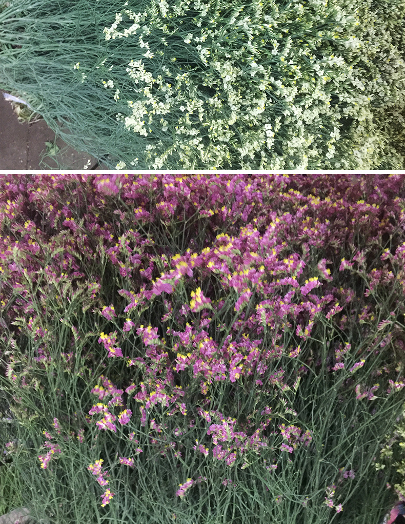 水晶草云南花束水晶草彩色水晶花批发家居客厅装饰一扎/20支