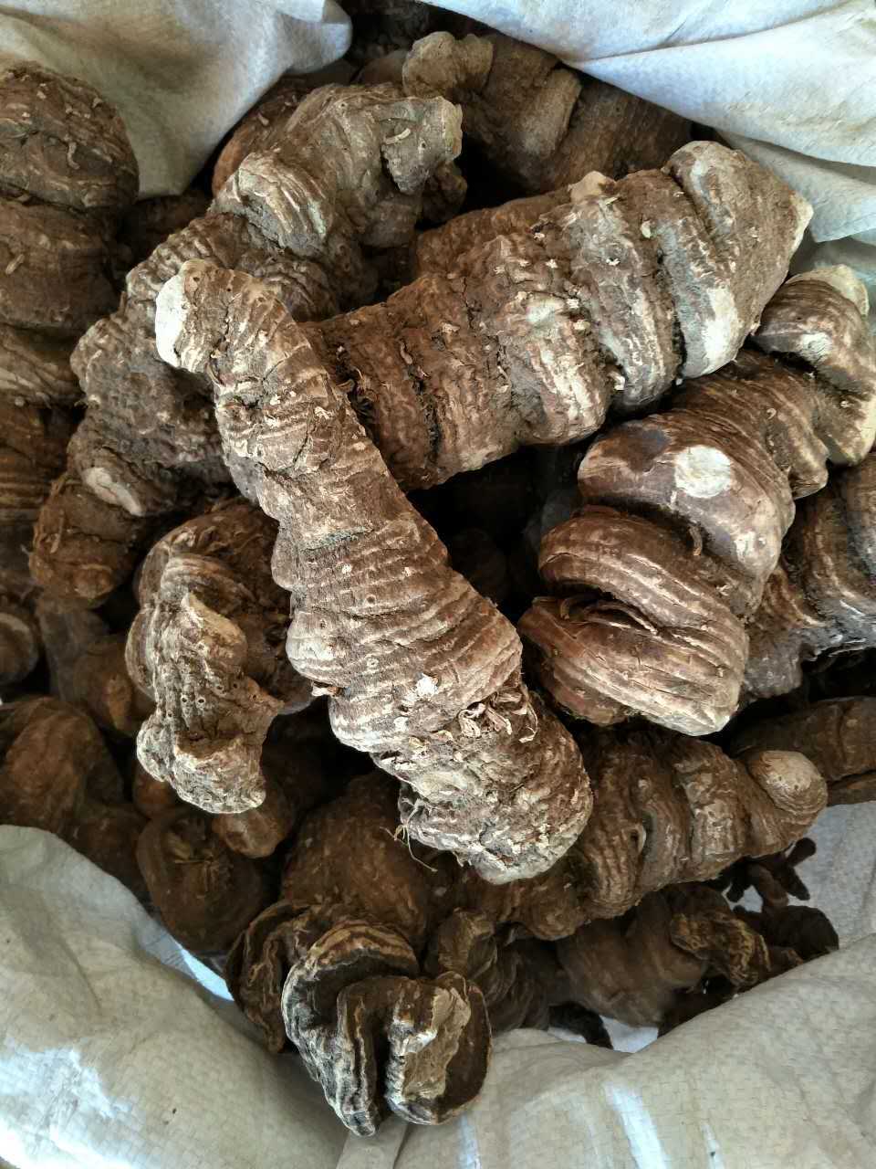 包邮飒枫中药材 国产 重楼 骚休 七叶一枝花 代加工60-160目粉