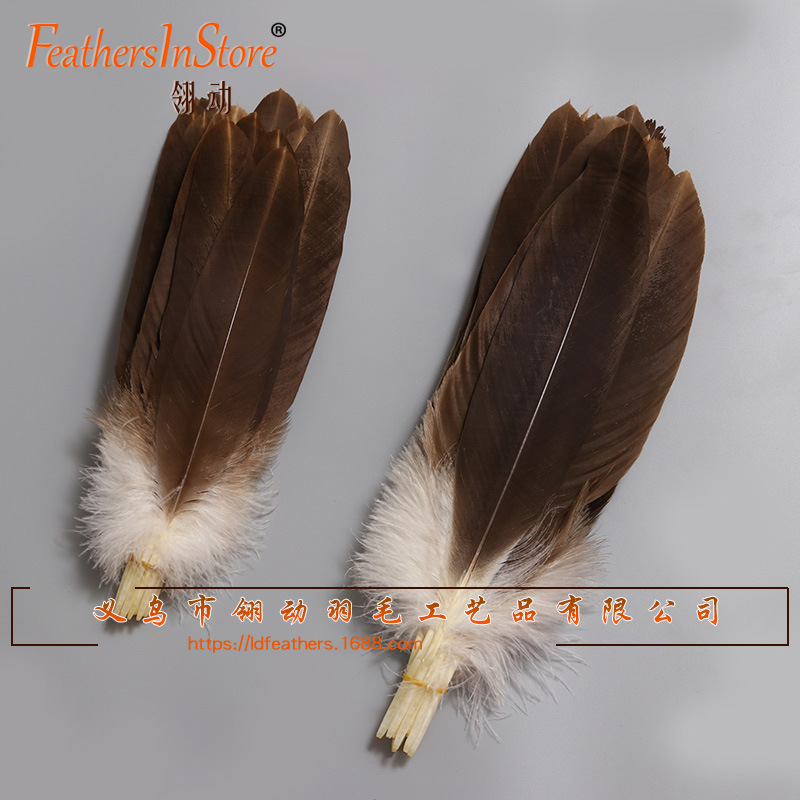 稀有老鹰窝翎羽毛 罕见马鹰羽毛 家居插花装饰羽毛 孔明扇原