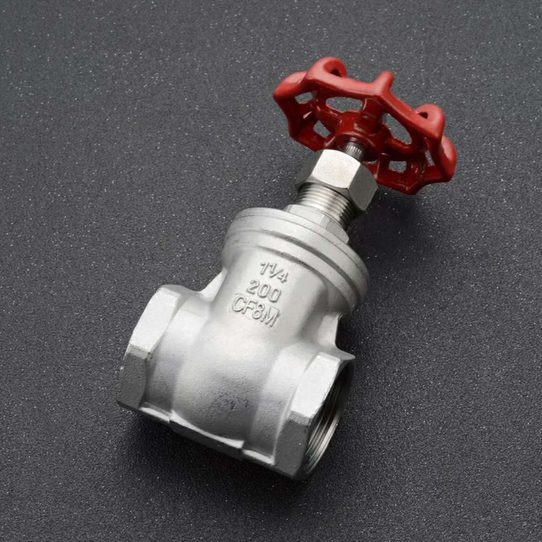 304不锈钢高温闸阀 内螺纹丝扣蒸汽闸阀 dn15 20 25 32 40 50