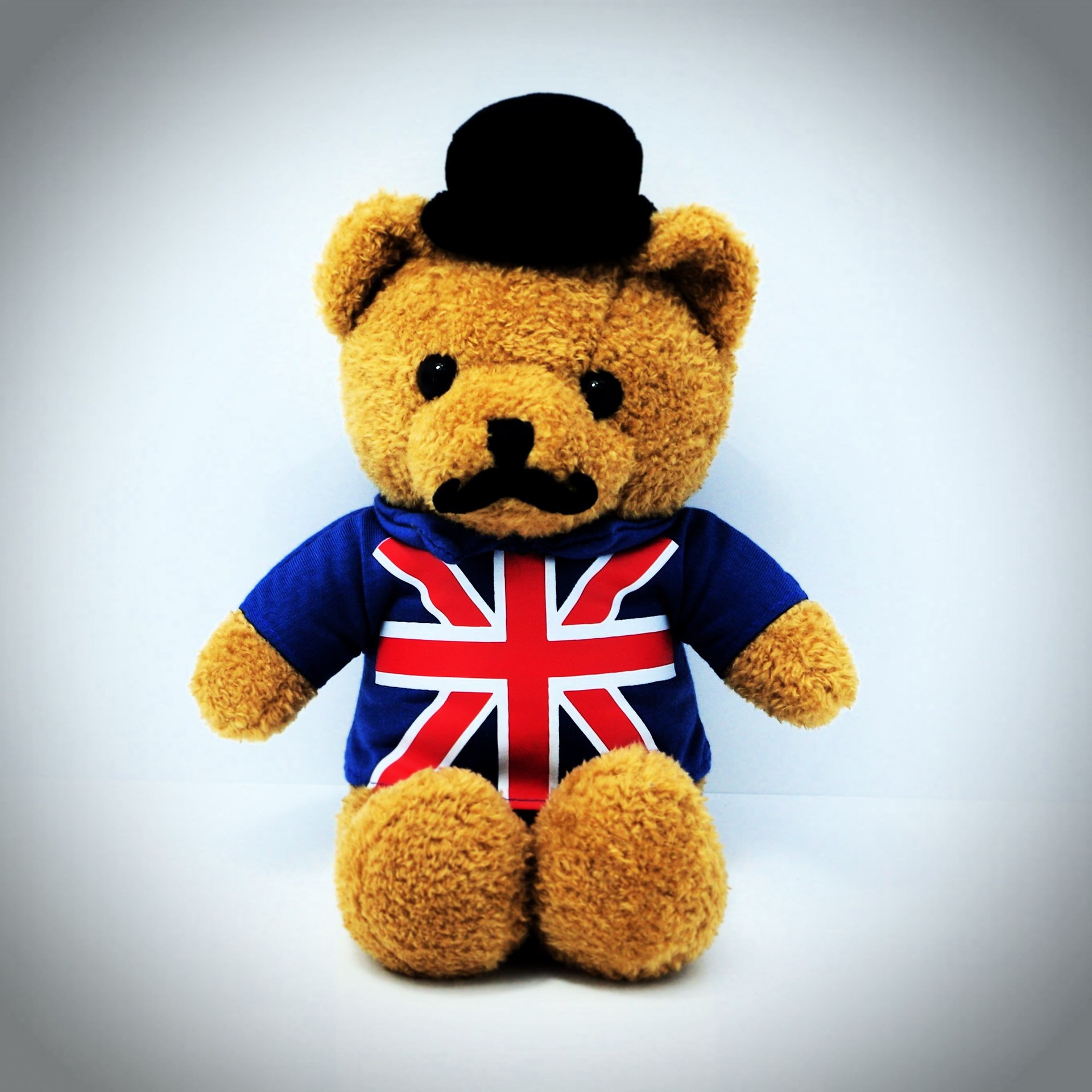 厂家定制泰迪熊毛绒玩具 珍珠绒小熊公仔 毛绒娃娃玩偶设计加工