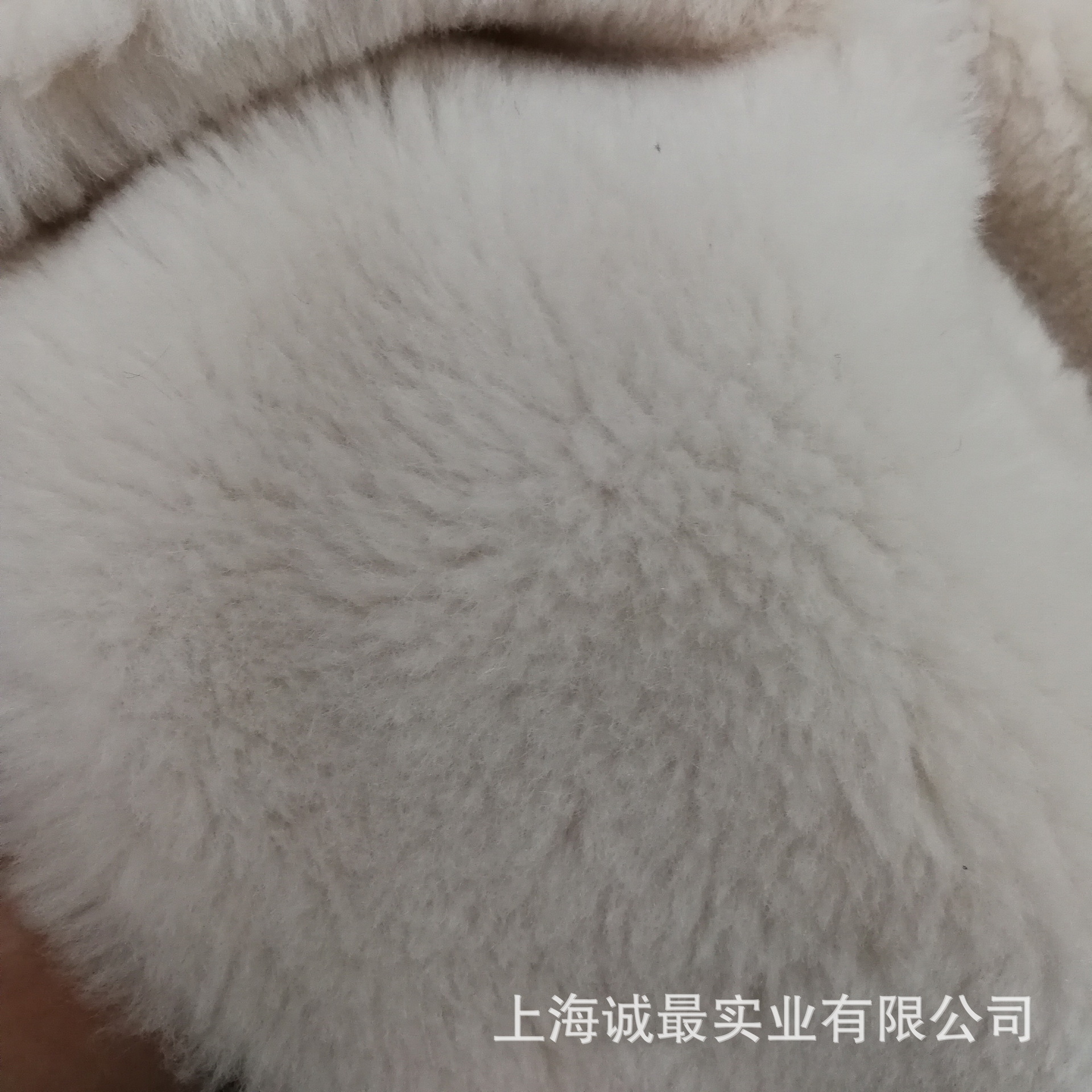 真羊毛羊羔毛百分之70%羊毛羊羔绒 羊毛绒布 澳毛美利奴羊羔毛