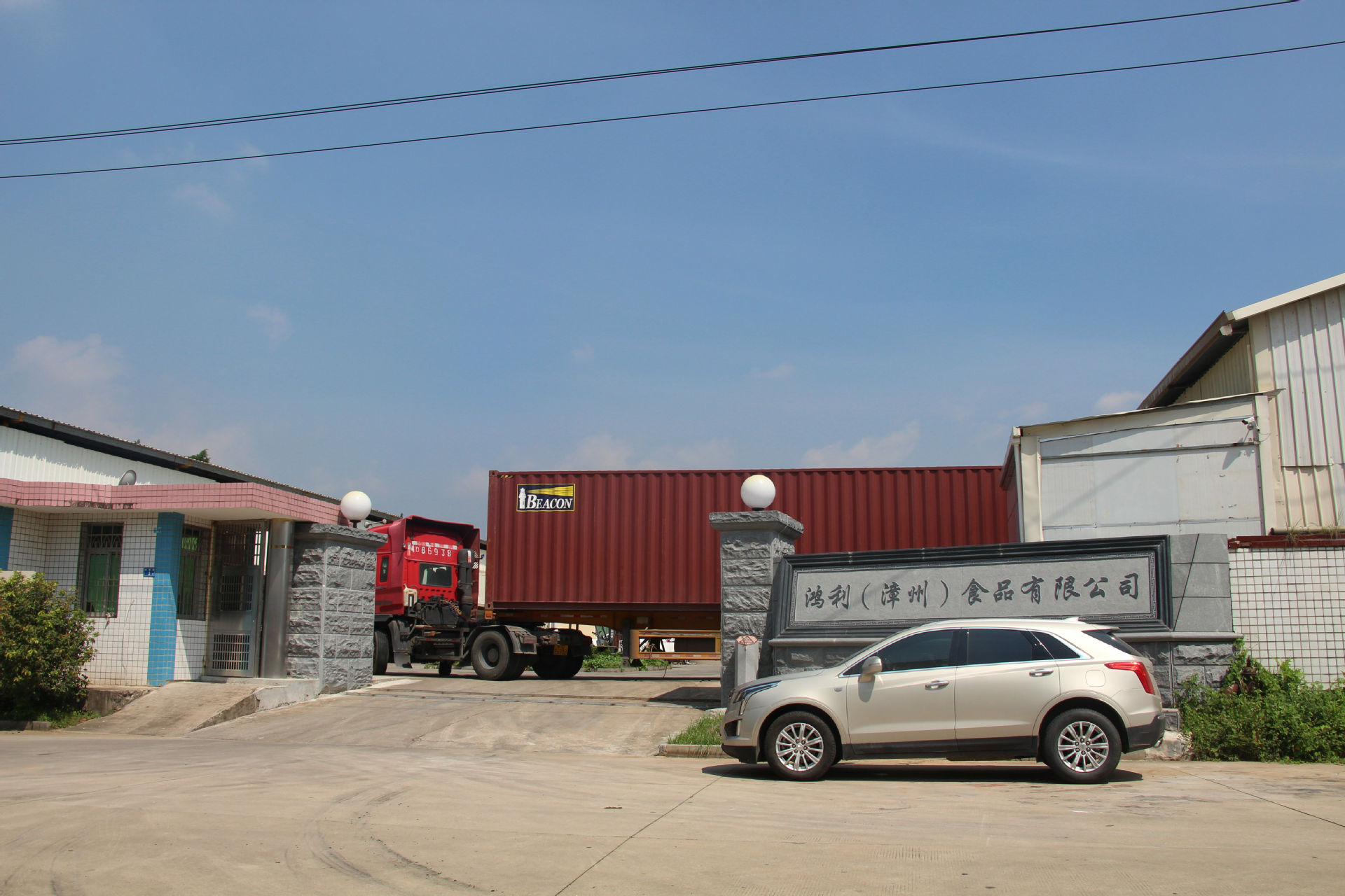 鸿利食品代加工oem38g即食谷物燕麦营养早餐酸奶冲泡水果麦片批发