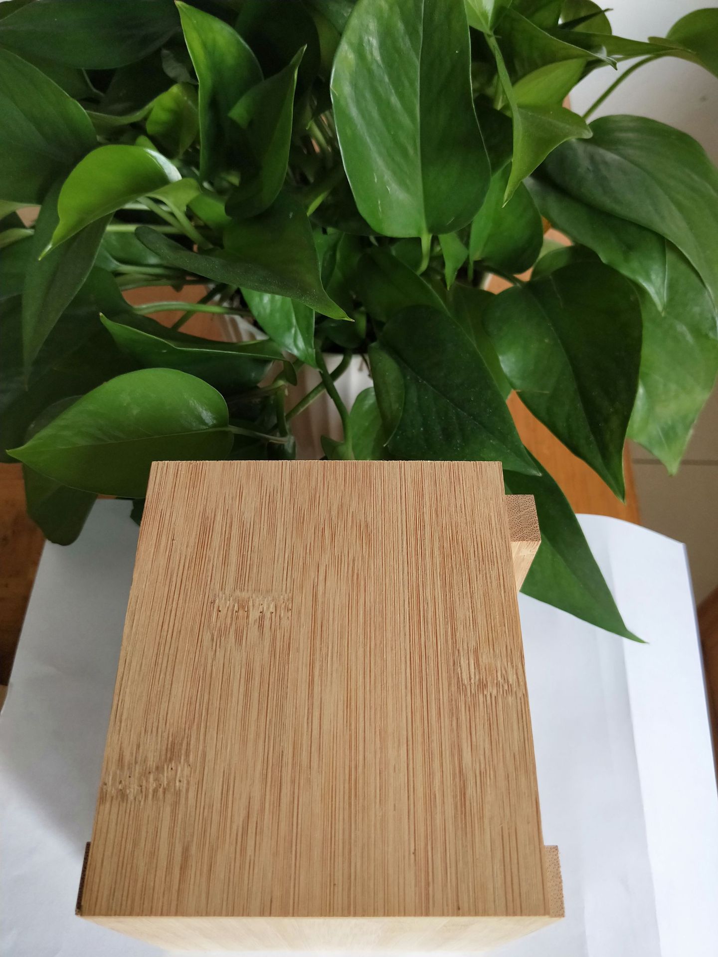天豪包装盒子用竹板 纸巾盒 收纳盒 音响盒用竹板 竹板规格全现货