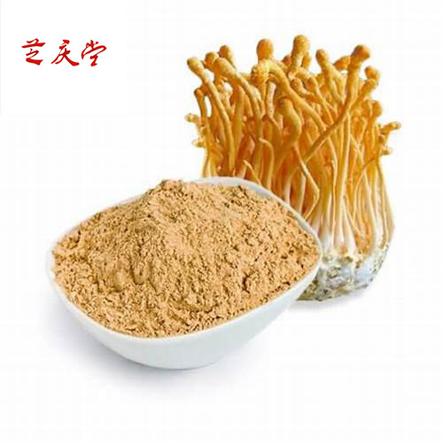 [芝庆堂]供应富硒蛹虫草粉  虫草粉 食品原料