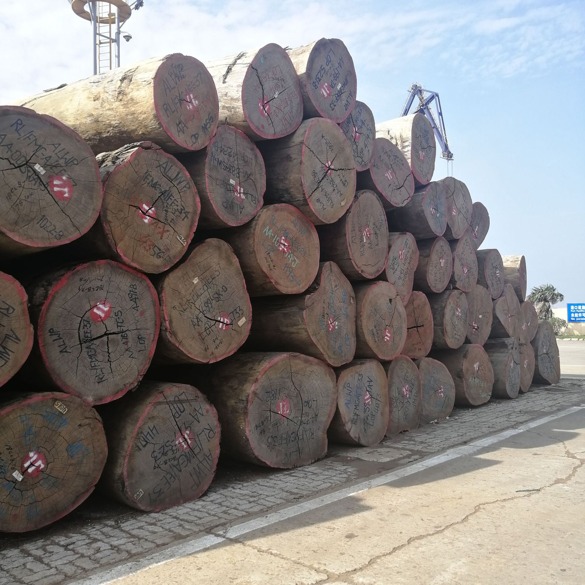 红铁木大板现货 非洲红铁木原木 建筑木材大径加工