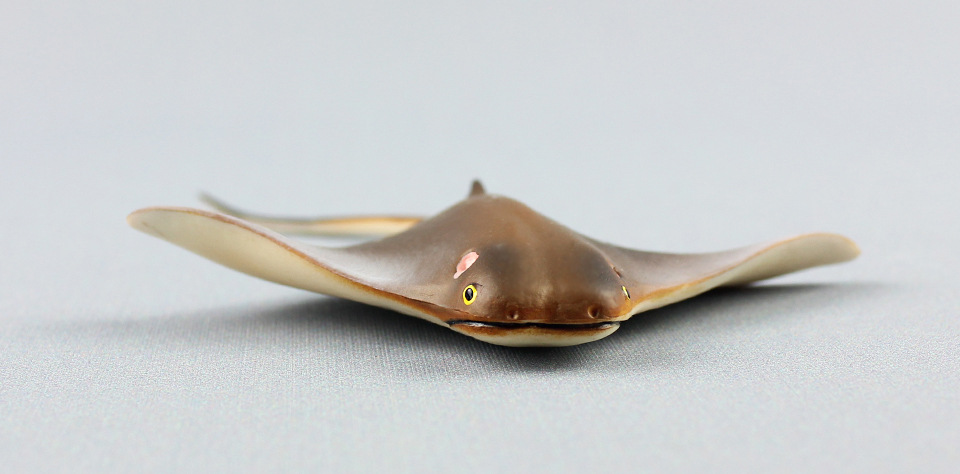 海洋生物模型小魔鬼鱼蝠鲼儿童仿真静态塑胶实心动物玩具外贸货源