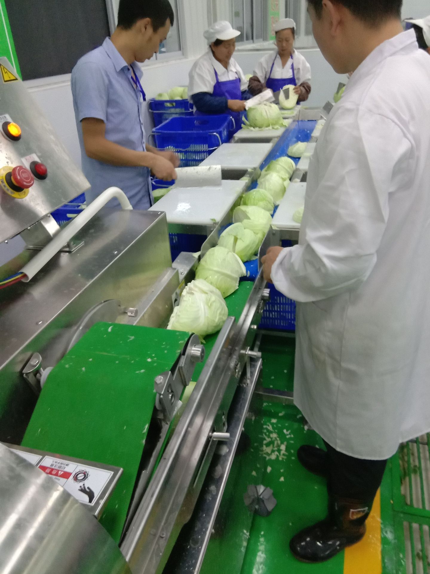 挑选台 蔬菜挑选预处理 学生餐食品配送蔬菜加工生产线切割工作台