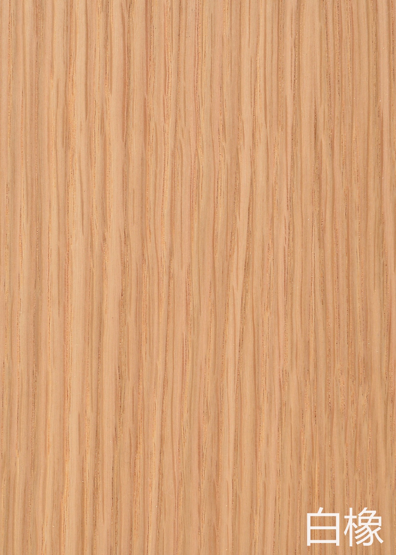 5厘肌肤感白橡直纹木皮装饰板材 高档免漆板 加厚皮饰面板