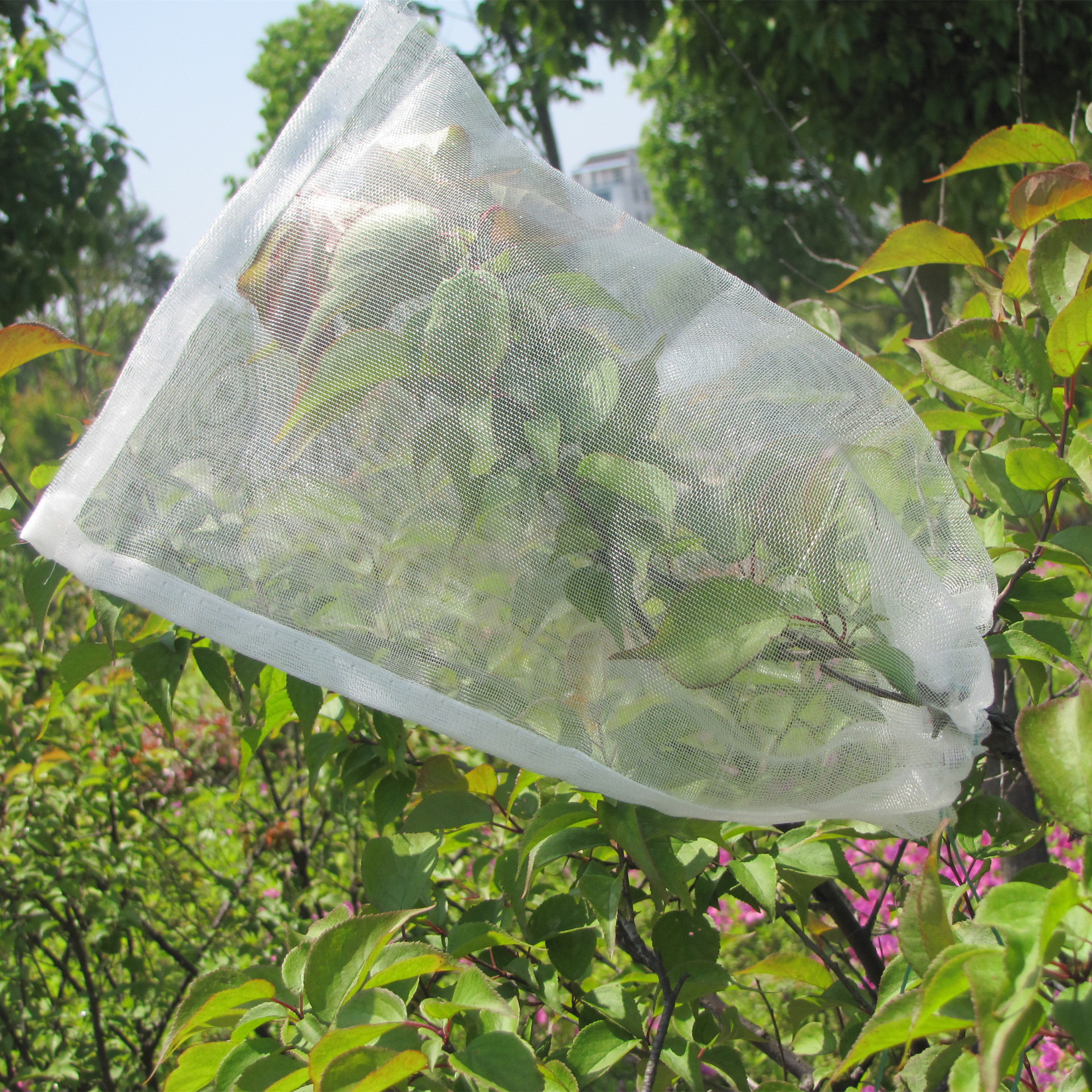 厂家直销尼龙网袋防虫套防鸟火龙果套袋果树防虫袋水稻育种种子袋