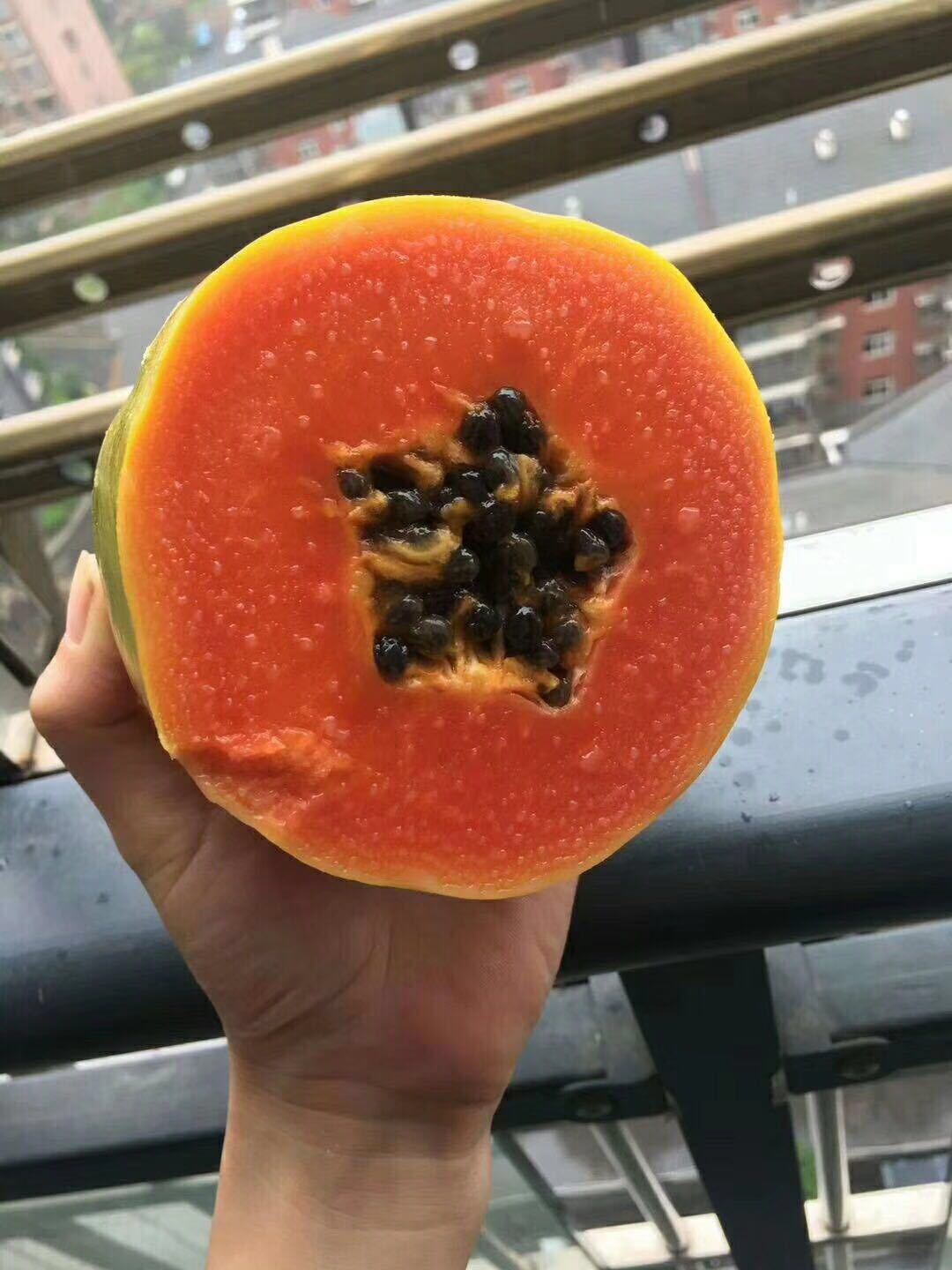 新品来袭,红心木瓜上市啦~-阿里巴巴