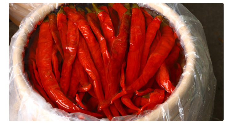 老坛泡椒陈泡二荆条23kg/桶 餐馆酒店大包装红辣椒四川泡菜泡海椒