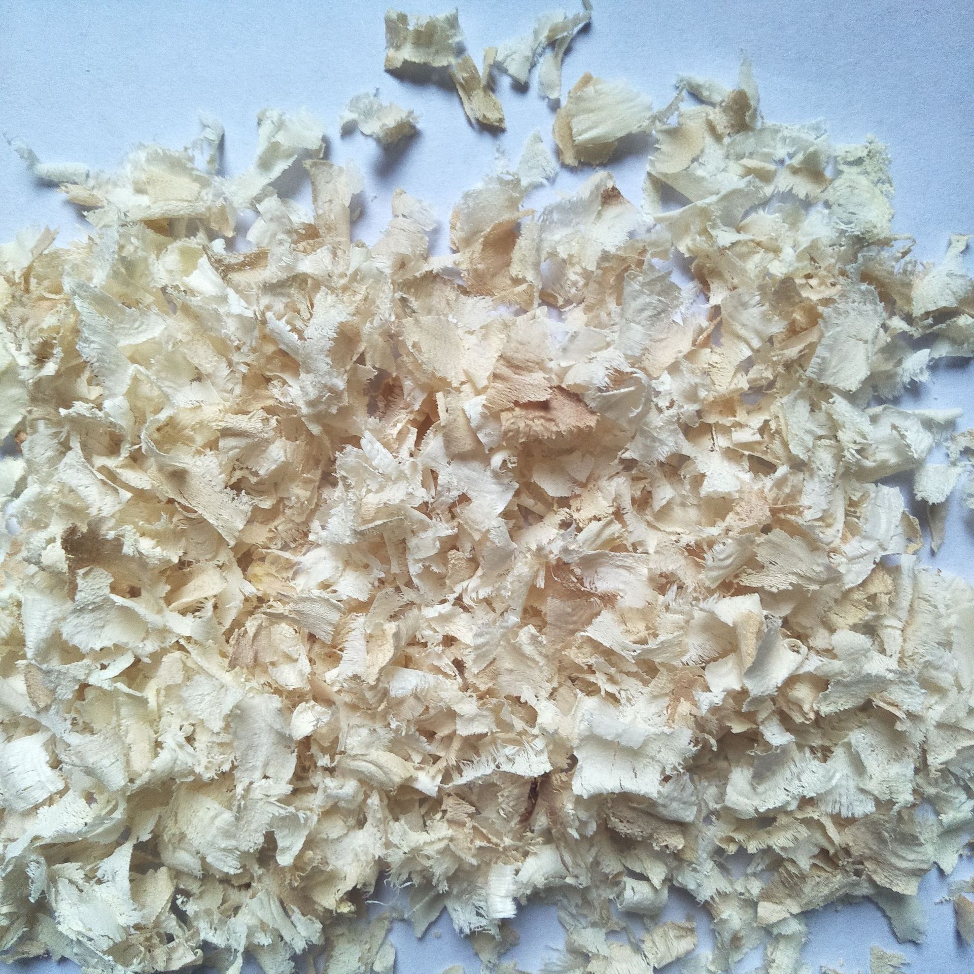 厂家供应垫料白杨木仓鼠生活用品刨花木屑实验室木片现货