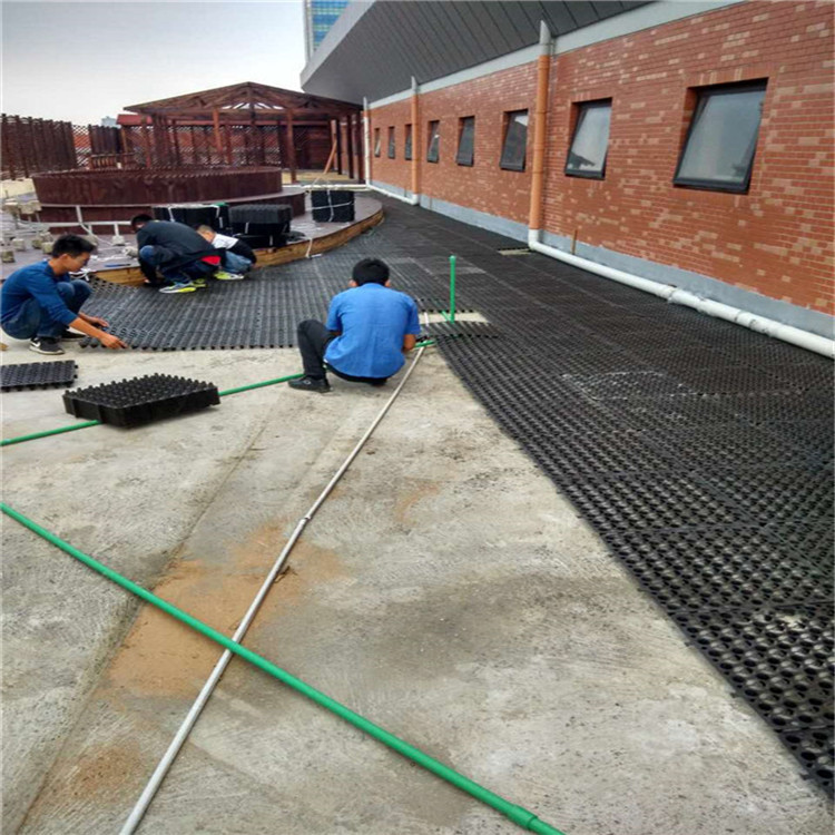 会展中心屋顶花园公园园林绿化防根蓄排水板疏水滤水板50*50片材