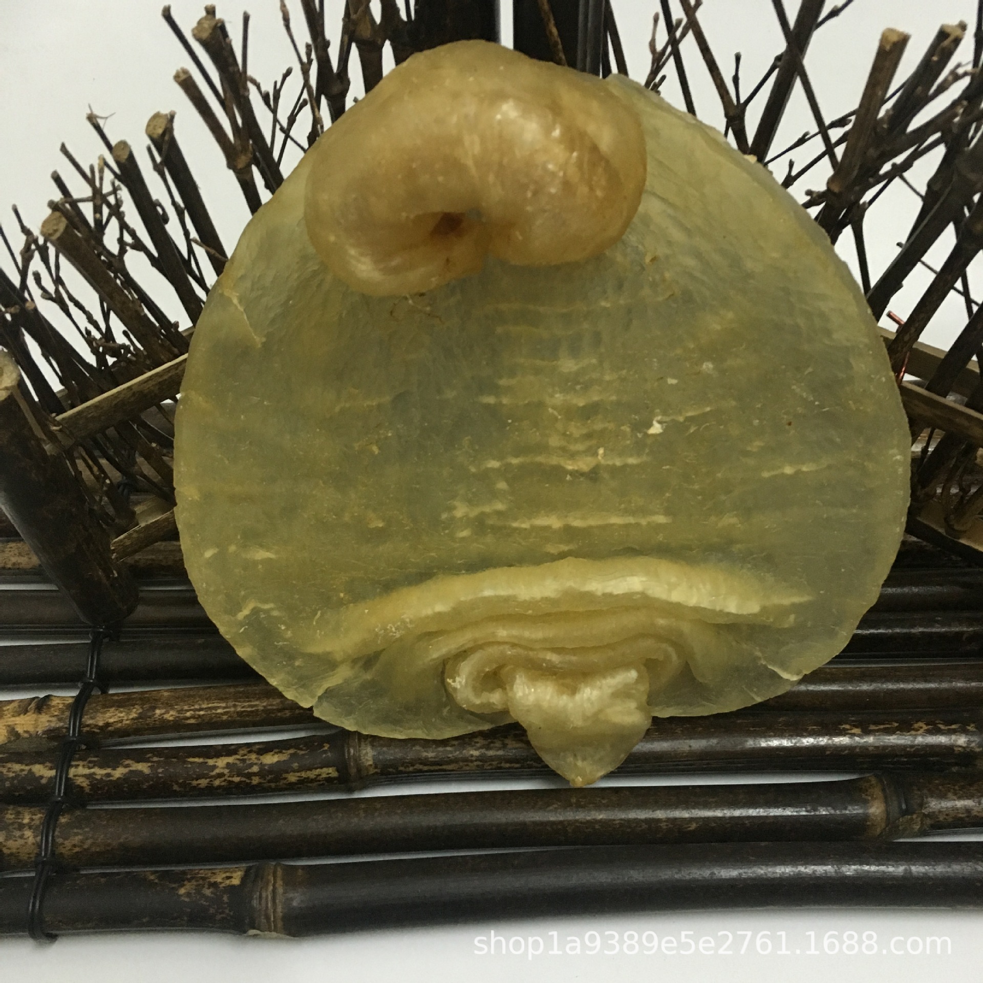 非洲赤嘴 赤嘴鱼胶 白鳘 深海野生鳘鱼胶鱼肚花胶干货 批发