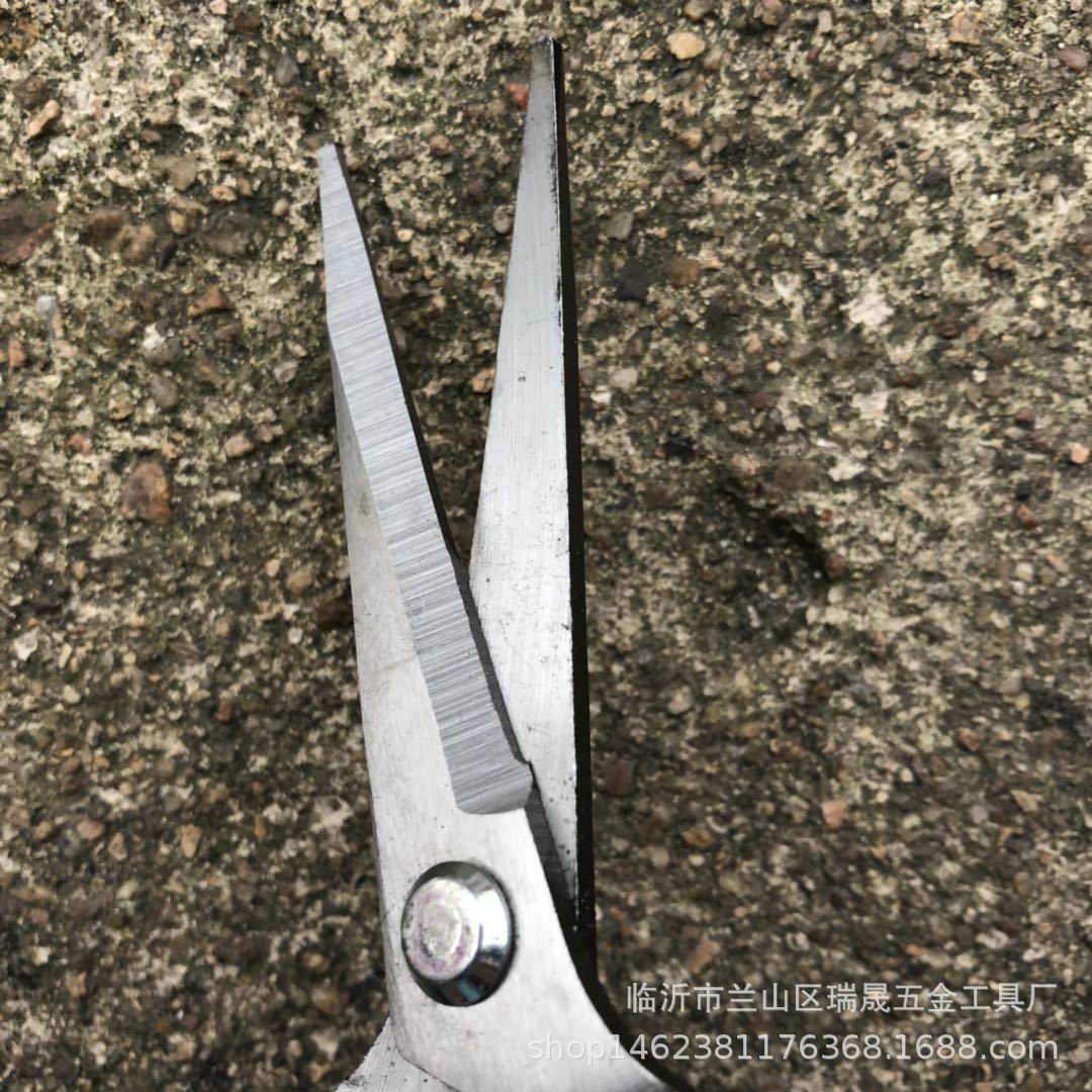 稀果剪 摘果剪 直头摘果剪 果树剪刀 园林农业采摘剪