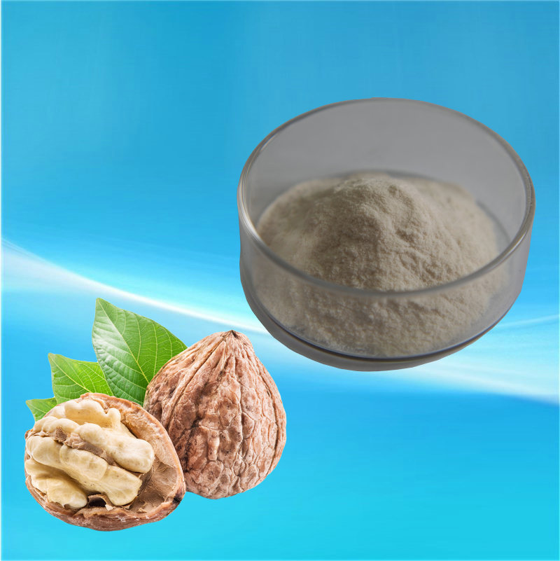 核桃肽粉 小分子肽 核桃低聚肽 现货供应 量大从优 固体饮料肽粉
