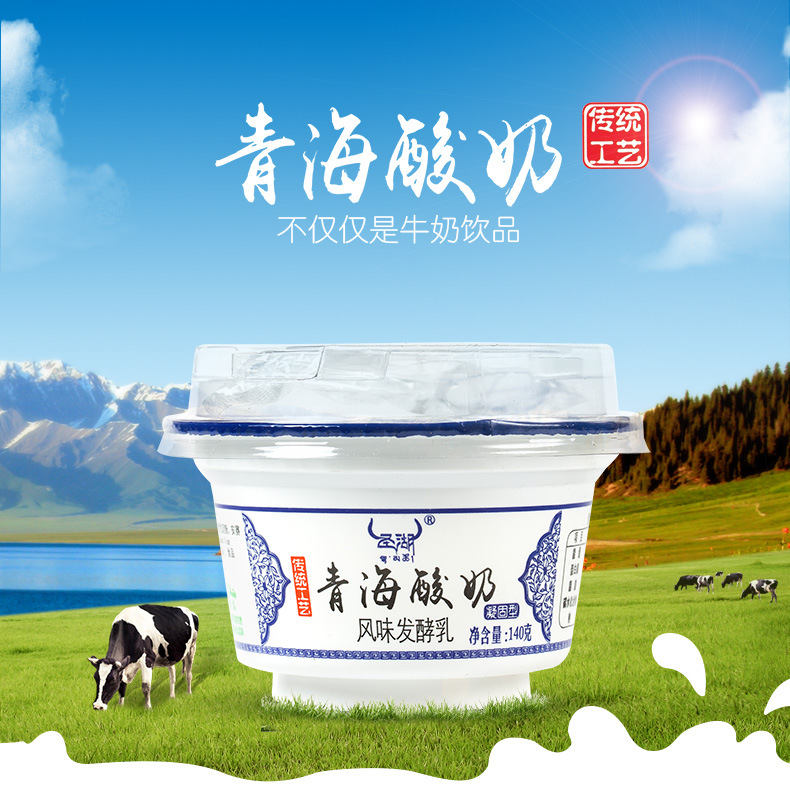 (茶卡盐湖)圣湖青海特产风味老酸奶原味酸牛奶碗装杯装140g*12