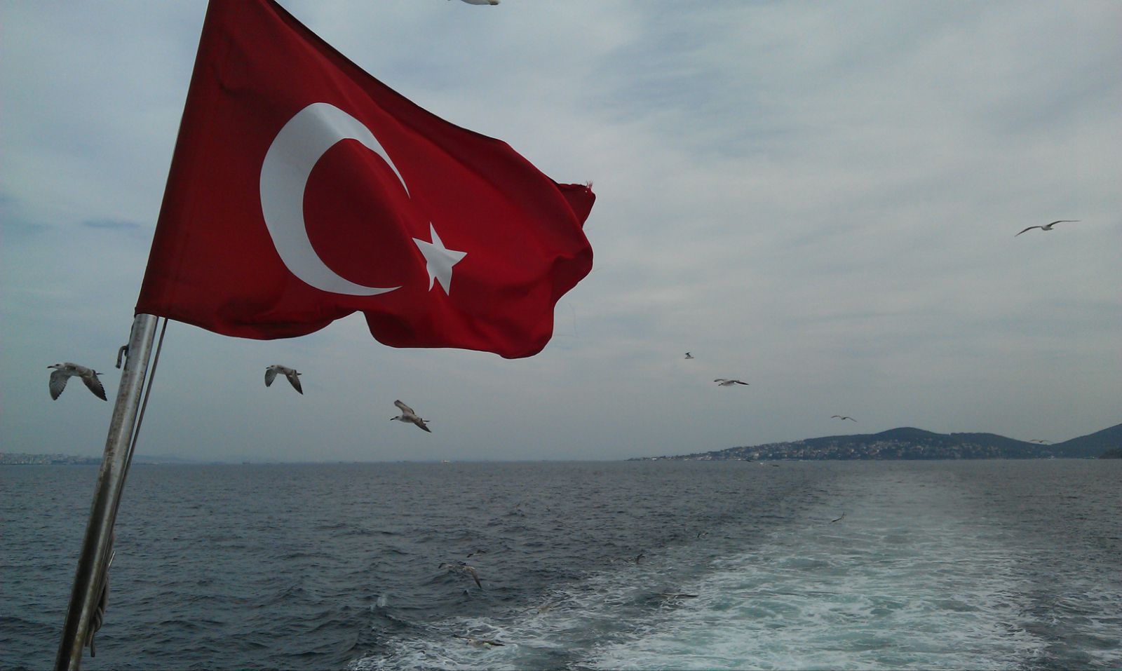 f951 现货批发 90*150cm 3*5ft 土耳其国旗 4号旗帜 turkey flag