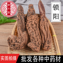 内蒙古肉苁蓉切片锁阳淫羊藿泡酒正品阿拉善非新疆野生特级中药材