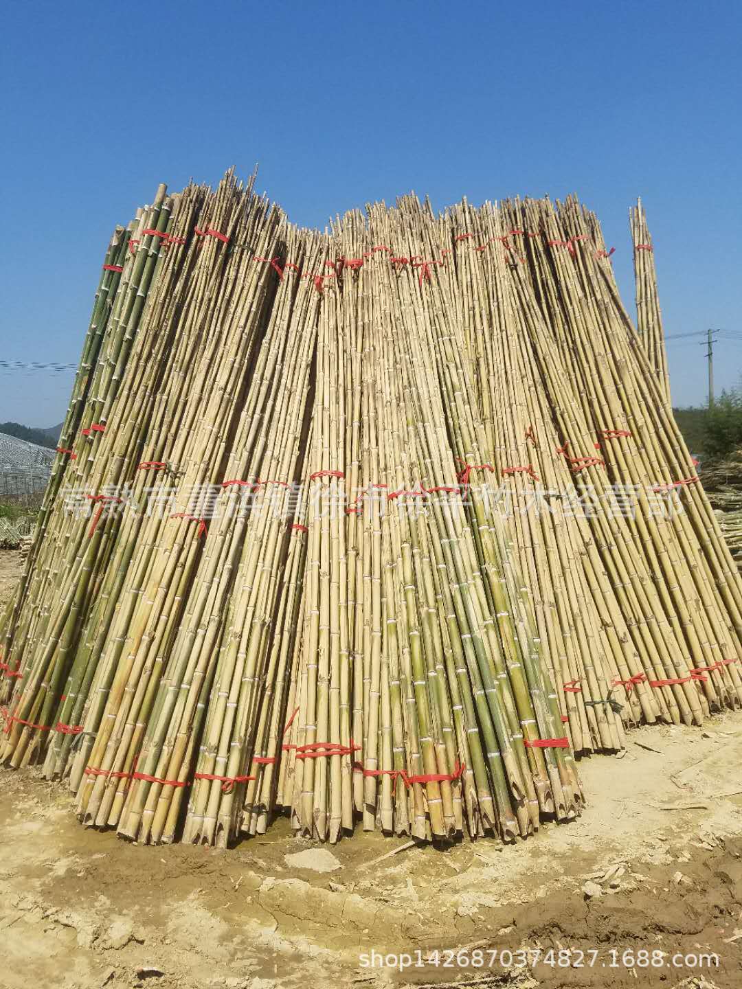 自产自销毛竹绿化毛竹支撑 竹子 杆建筑搭架子毛竹树木毛竹支撑架
