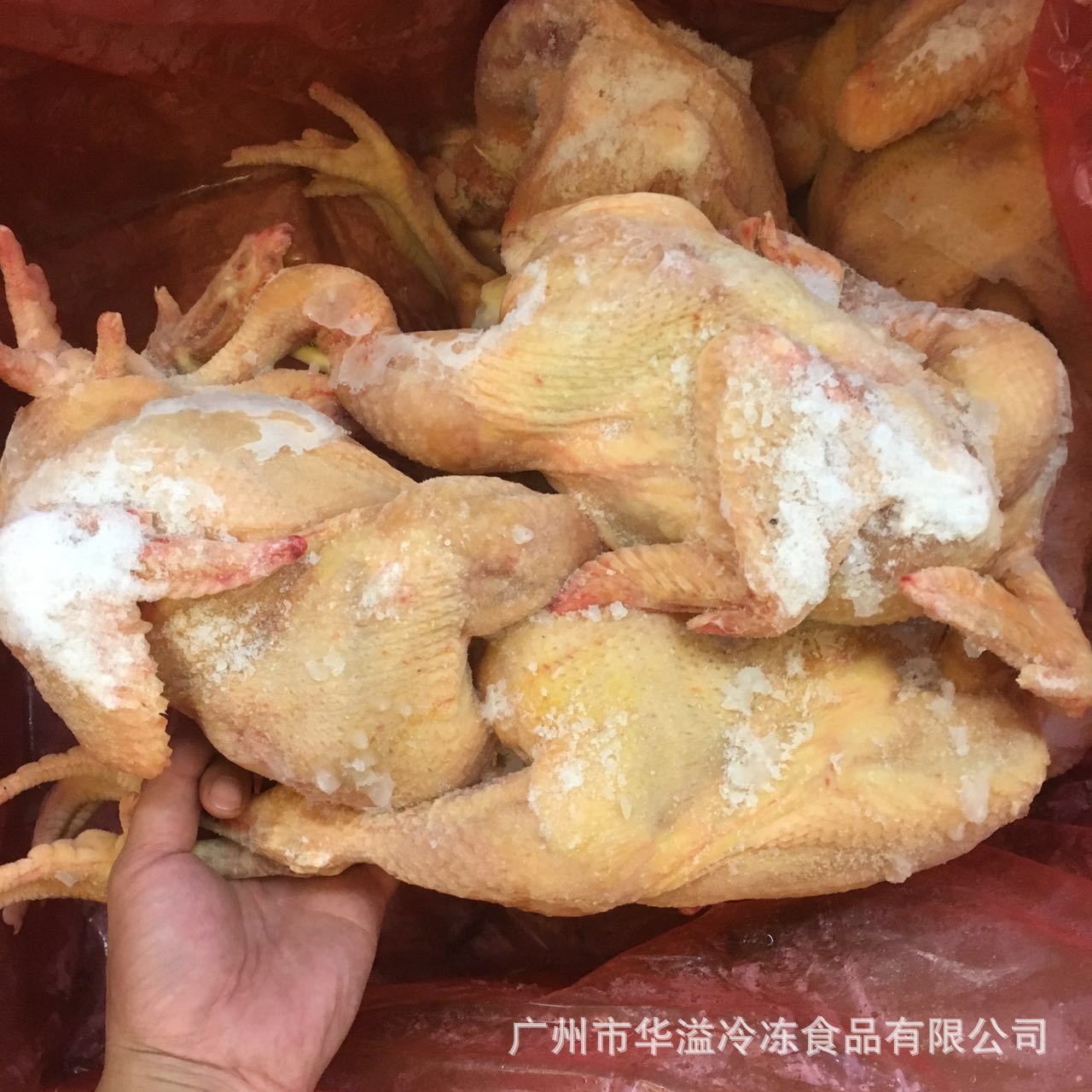 冻鸡 三黄鸡 春鸡 7只/20斤/箱 广州批发速冻三黄鸡 冰鲜春鸡