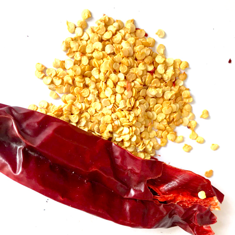 厂家销售 新疆甜椒籽 现货热销 甜椒籽辣椒籽 一级品质1000g