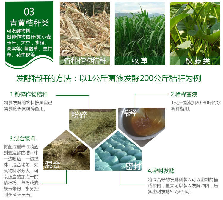 养猪饲料发酵剂使用案例3