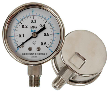 不锈钢压力表,轴向带边不锈钢压力表