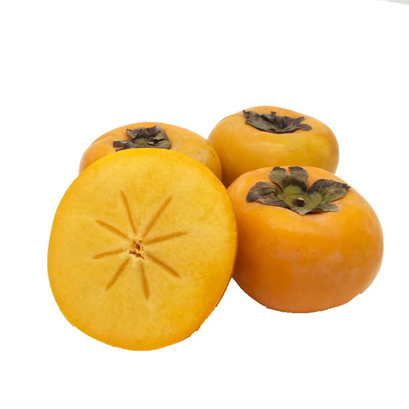 (停发)广西脆柿桂林柿子5斤/9斤新鲜水果恭城脆甜柿一件代发