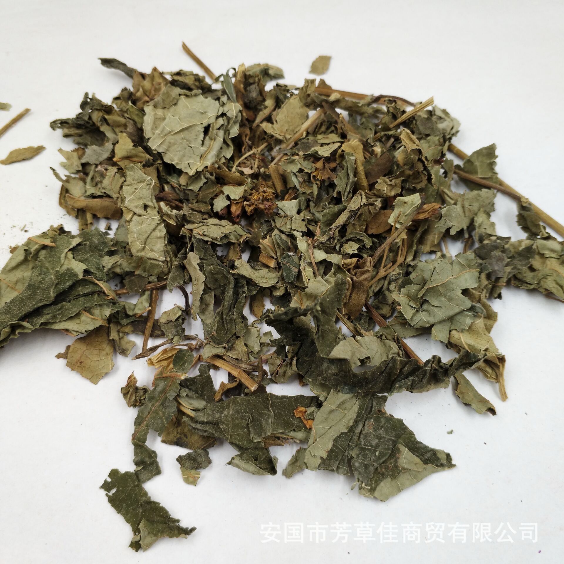 批发中药材臭梧桐叶 八角梧桐 山梧桐 臭桐柴