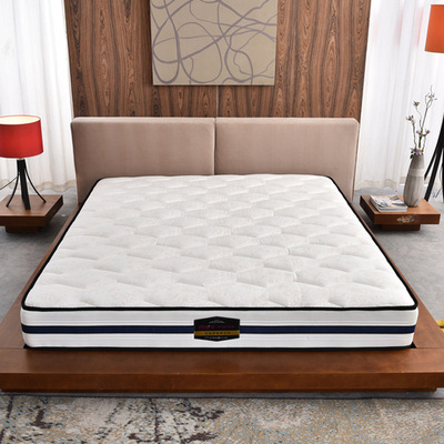 席梦思床垫22cm厚1.8m床1.5m1米2弹簧天然椰棕床垫佛山星鱼厂家