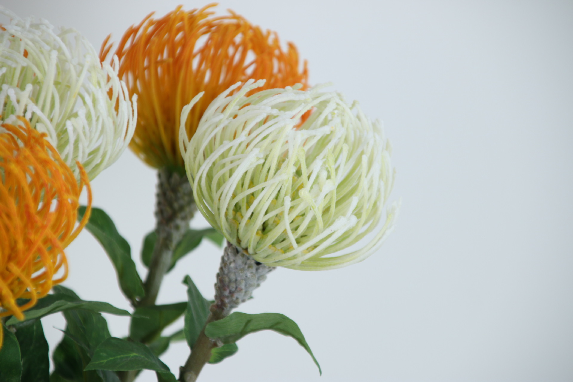 needle mat flower living room table wedding decora