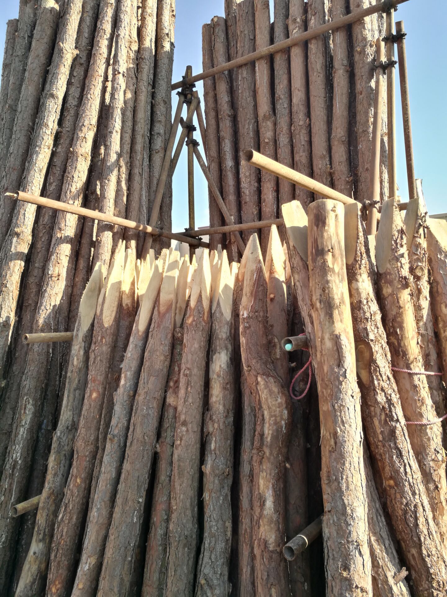 佛山,清远,深圳 生产松桩.木桩.批发零售