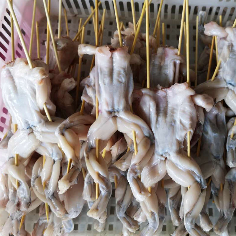 厂家供应海鲜水产品批发牛蛙 冰鲜冷冻食品烧烤食品蛙串