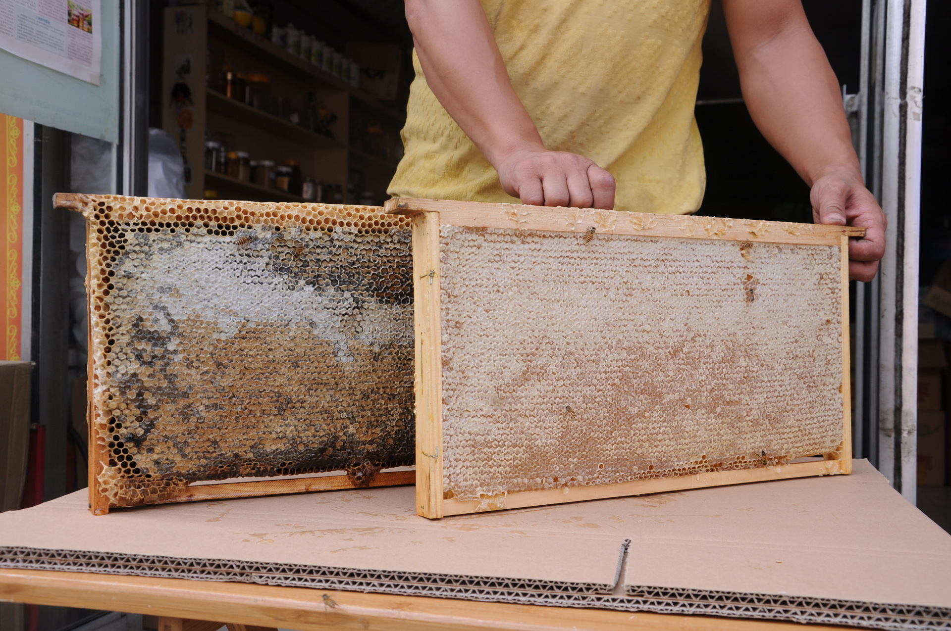 健凤园老蜂巢巢蜜农家自然成熟带框整张封盖蜂蜜蜜脾批发一件代发