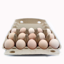 工厂定货15枚鸡蛋盒防潮环保可降解纸浆模塑纸托包装盒土鸡蛋托盘