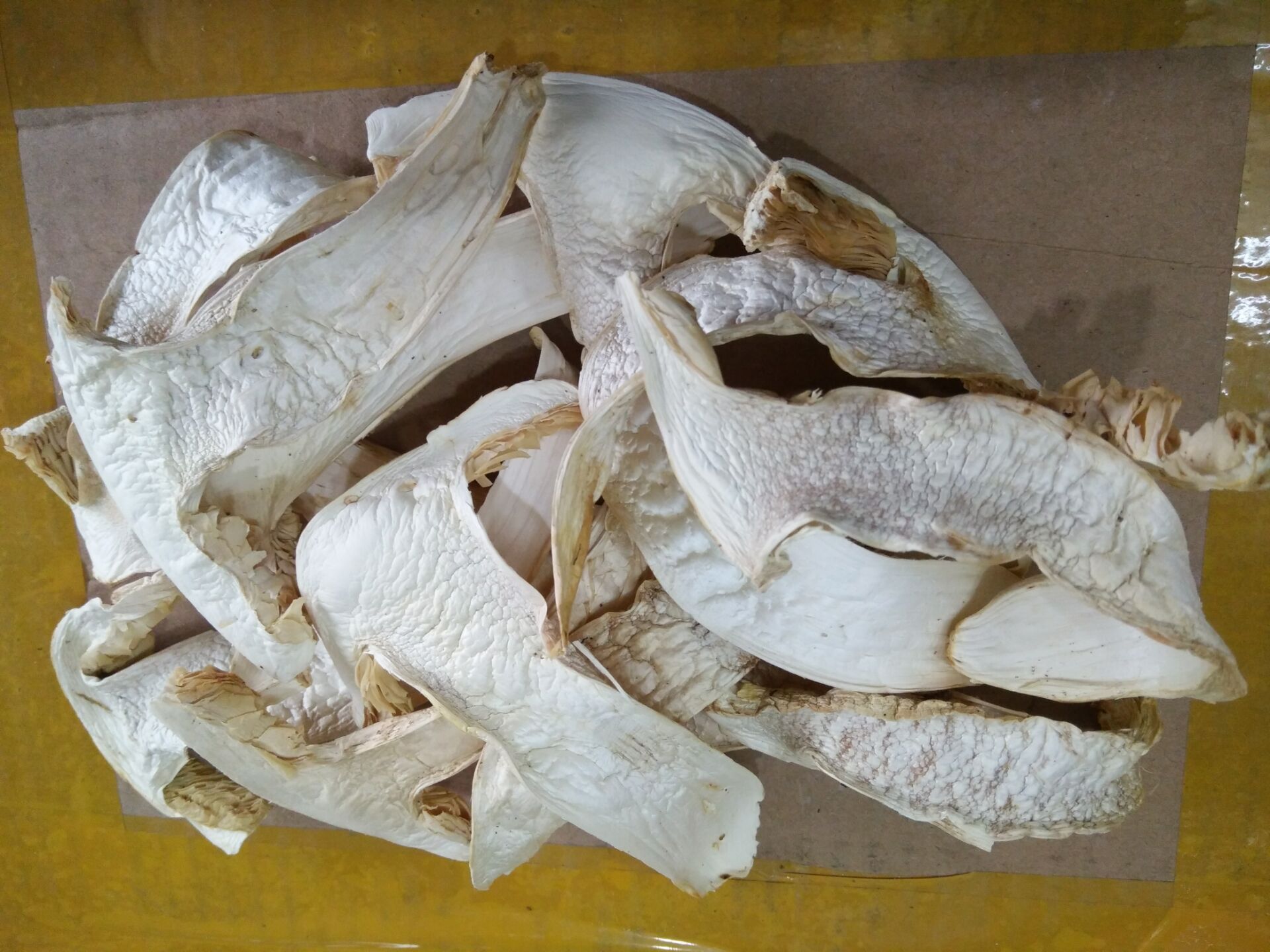 新鲜野生松茸云南特产干片冻品林芝西藏小金香格里拉一件代发预售