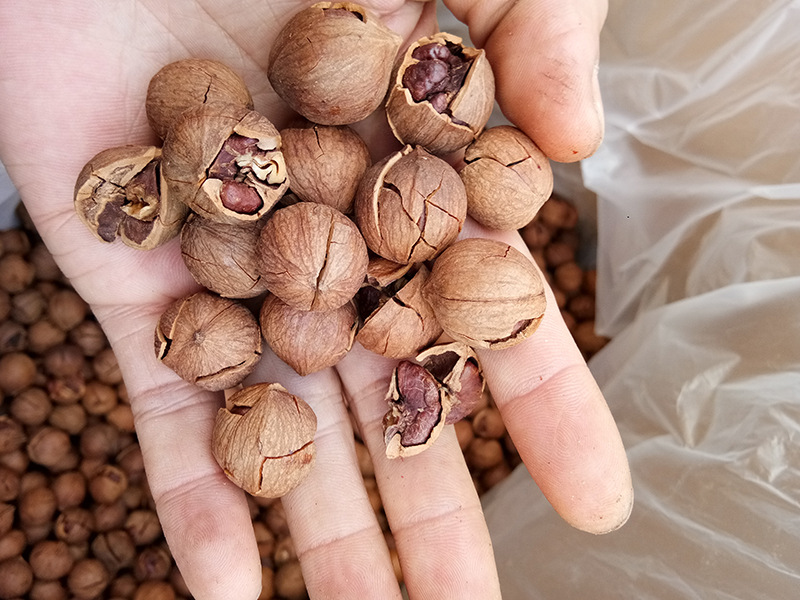 新货临安山核桃大籽手剥小核桃毛重250g散装坚果干果炒货一件代发