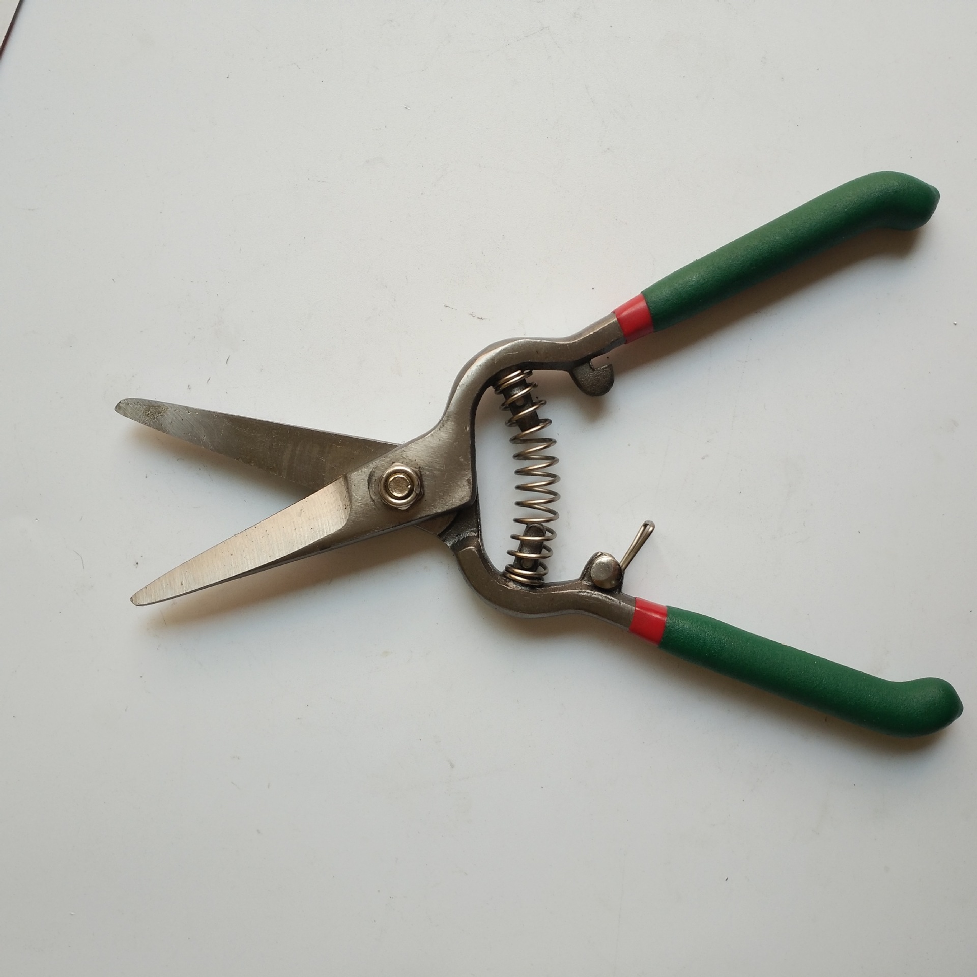 批发 8寸葡萄剪 果树剪 修枝剪 园林工具 稀果剪 粗枝剪