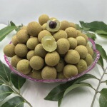 广州特产水果