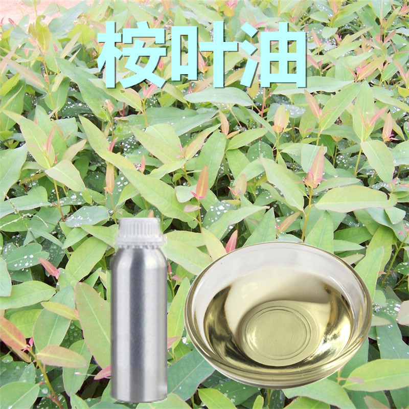 江西精油植物提取精华桉叶油桉树油蓝桉油日化香精生产加工现货
