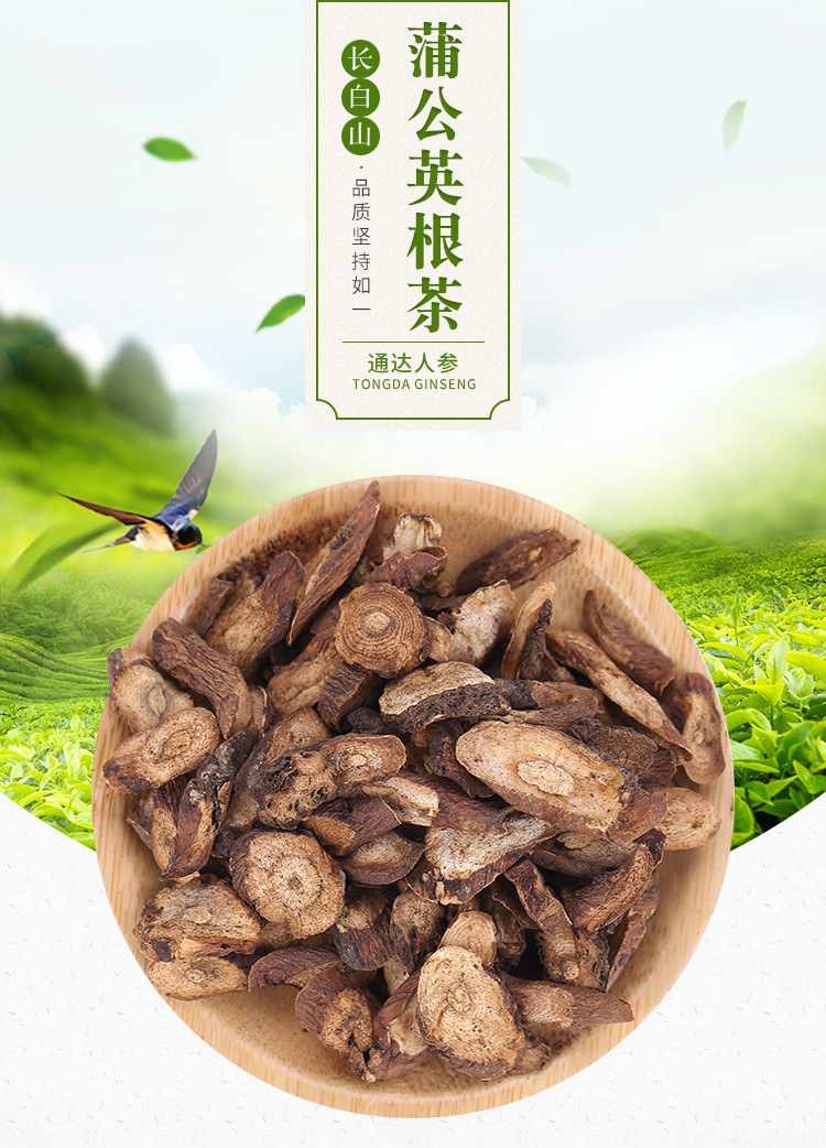 东北特产茶蒲公英根茶散装称重 通达公司大量供应泡水代茶饮