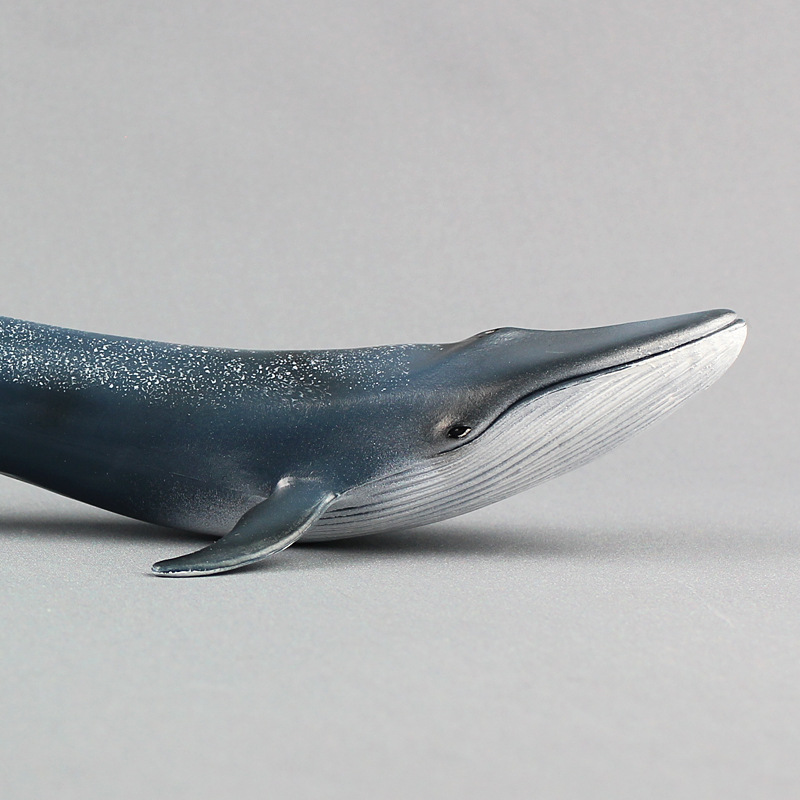 跨境货源仿真海洋生物蓝鲸海洋动物模型塑料海底鲸鱼儿童玩具认知