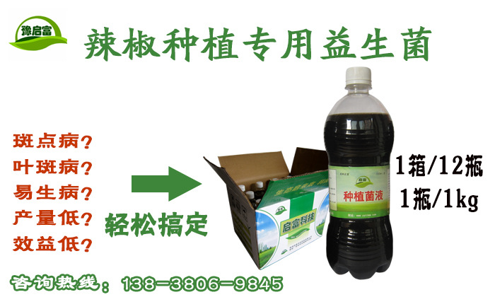 辣椒种植防病专用益生菌