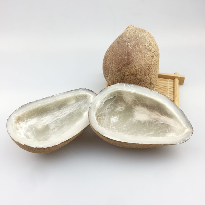 印度椰子皇玉白肉海椰皇椰青王正宗进口新鲜煲汤甜品酒店食材批发