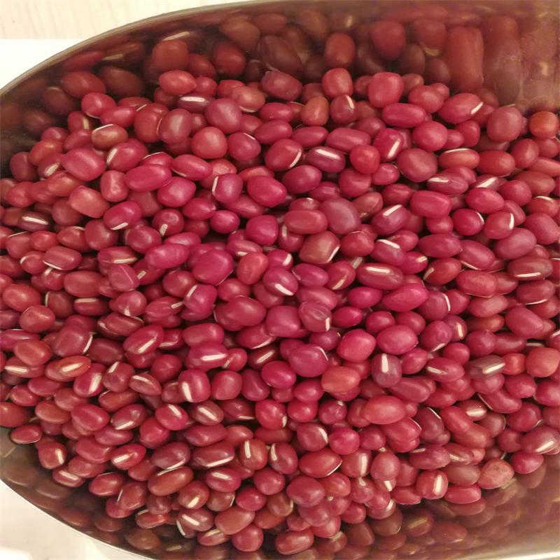 豆,奶花,红花,紫花,奶圆,紫圆,粉圆,白芸豆,黑芸豆,红小豆,豌豆,蚕豆