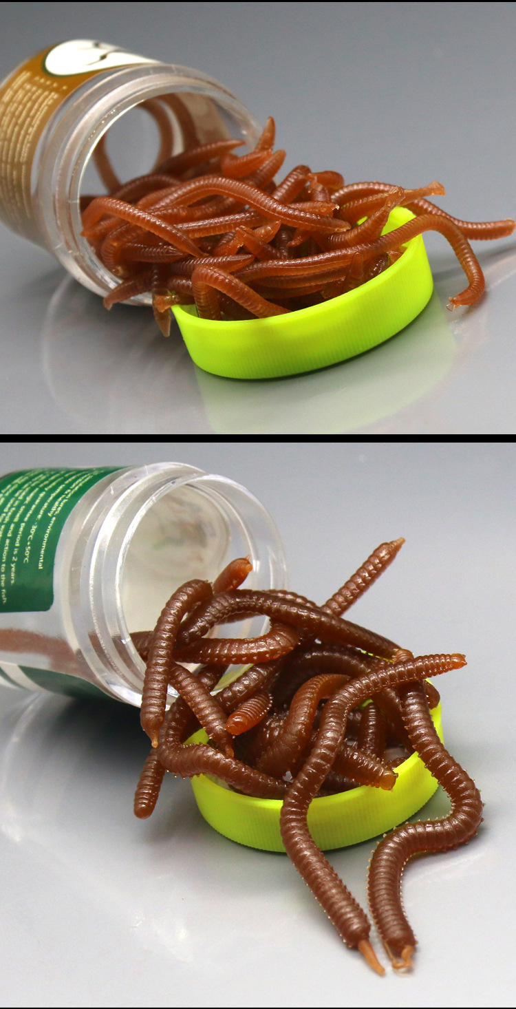 20g腥味盒子鱼饵沙蚕海蚯蚓面包虫腥香玉米粒万能型软饵厂家直销