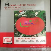 亮粉F118番茄种子/番茄苗 粉果大果搞产耐寒 阳台四季盆栽蔬菜苗