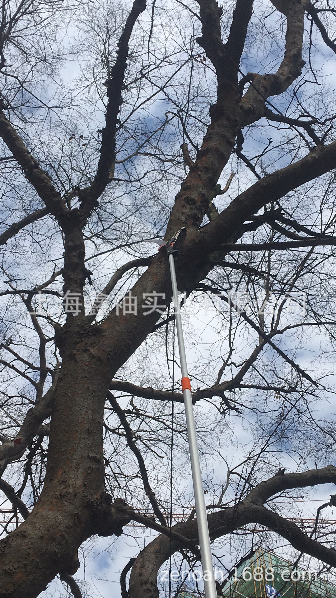 高枝剪6米修剪锯一体树枝剪刀高枝锯修树锯高空剪子园艺修枝剪